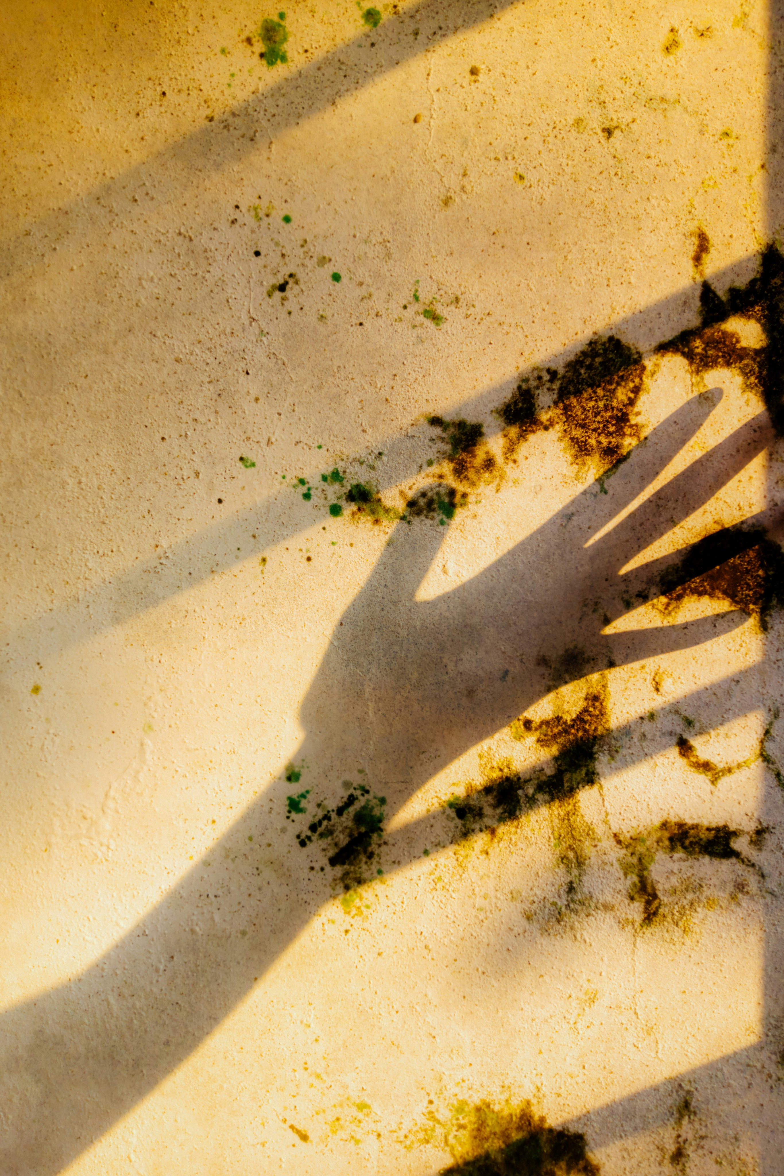 Wall covered in a mold, with a shadow of a hand casting over it